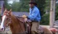dr dolittle 3-avi_318.jpg